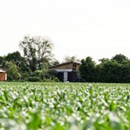 Demeterhof Duenninger Apartamento Hofheim in Unterfranken Exterior foto